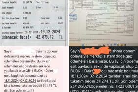 1734472436685439458