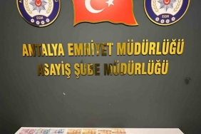 17345528791582296184