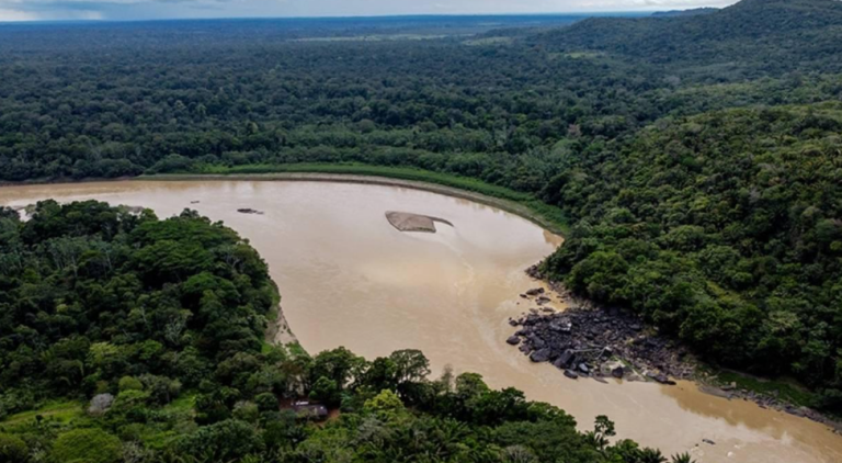 Peru Amazonları’nda Keşif: 27 Yeni Tür Bilime Kazandırıldı