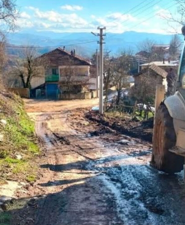 17349849861145314750