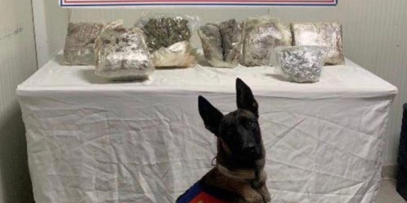 Şanlıurfa’da Yol Kontrolünde Uyuşturucu Operasyonu: 9,7 Kilogram Kubar Esrar Ele Geçirildi