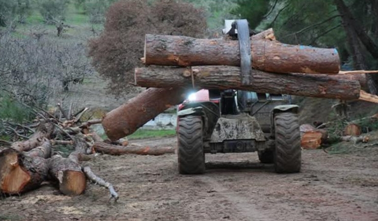 Bursa’da 100 dönüm ormanlık alan yenilenme gerekçesiyle kesildi
