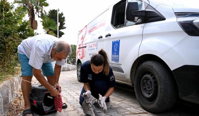 Kuşadası Belediyesi’nden Örnek Proje: Haybulanslar 2024 Yılında 21 Bin Hayvanı Kurtardı