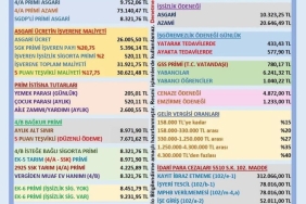 17355428211388102446