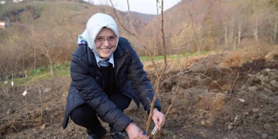 Fındık Tarımında Çığır Açan Buluş: Dip Sürgünü Sorunu Tarih Oluyor