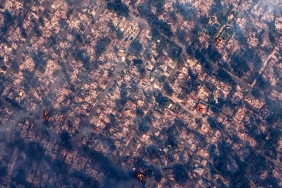 17364568231602084464