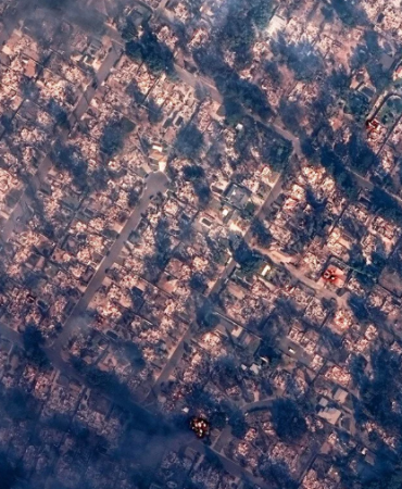 17364568231602084464