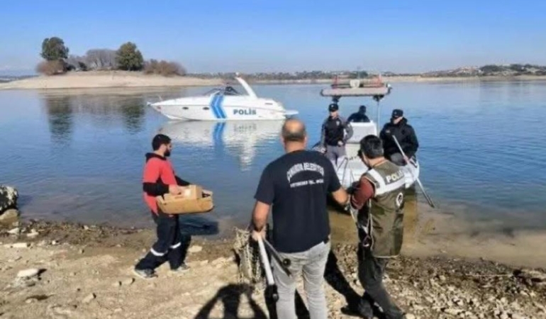 Adana’da Sevgi Adası’nda Mahsur Kalan 6 Yavru Köpek Kurtarıldı