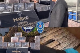 17366300831971703397