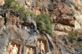 17372014181828835034