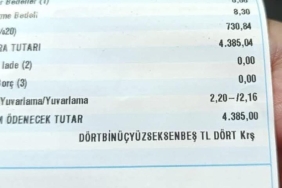 1737407535492910566
