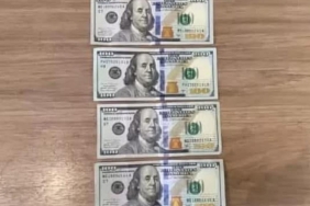 17374102941751195965