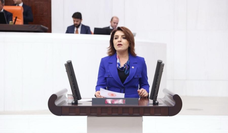 CHP’li Gülcan Kış, Bolu’daki Yangını TBMM Gündemine Taşıdı: