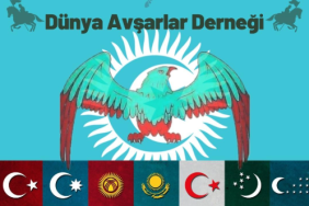 17390544991370417717
