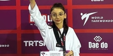 17393927661804809731