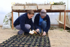 17393948222027038227