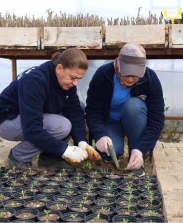 17393948222027038227