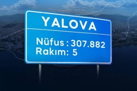 1740039550386747837