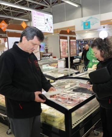 17401618611965902459