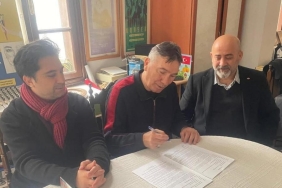 17404306661754024149