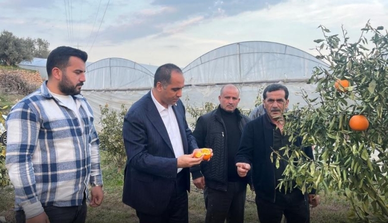 Mezitli Yönetimi Zirai Don Mağduru Çiftçilere Dayanışma Ziyareti Gerçekleştirdi