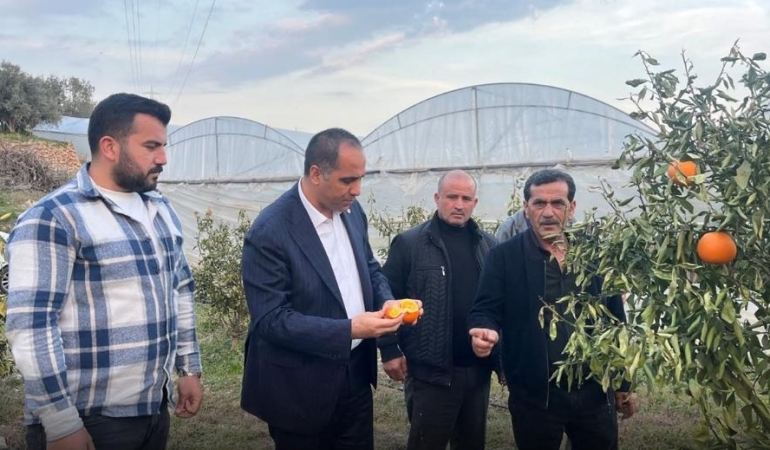 Mezitli Yönetimi Zirai Don Mağduru Çiftçilere Dayanışma Ziyareti Gerçekleştirdi