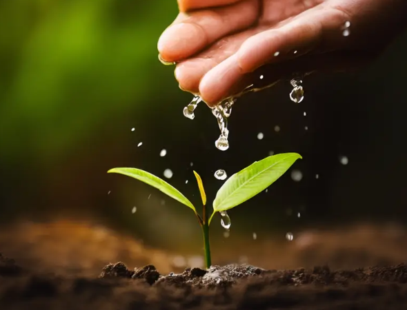 Kadınların Gücüyle Yeşeren Bir Dünya: DEMA’dan 8 Mart Mesajı