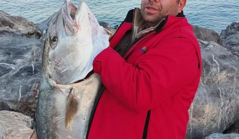 Oltasına Servet Takıldı! Amatör Balıkçı Dev Akya Balıklarıyla Rekor Kırdı