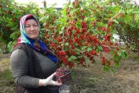 17418928952027605840