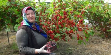 17418928952027605840