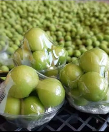 17419810441929466476