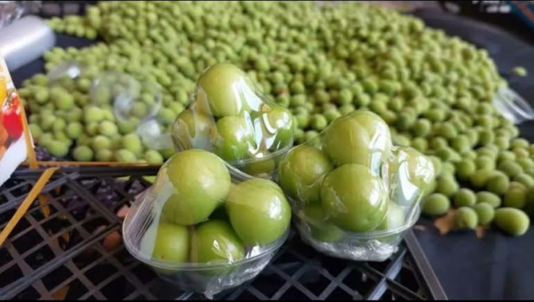 Örtü Altı Tarımda Büyük Başarı: Silifke Erikleri Kilosu 2.250 TL’den İhraç Edildi