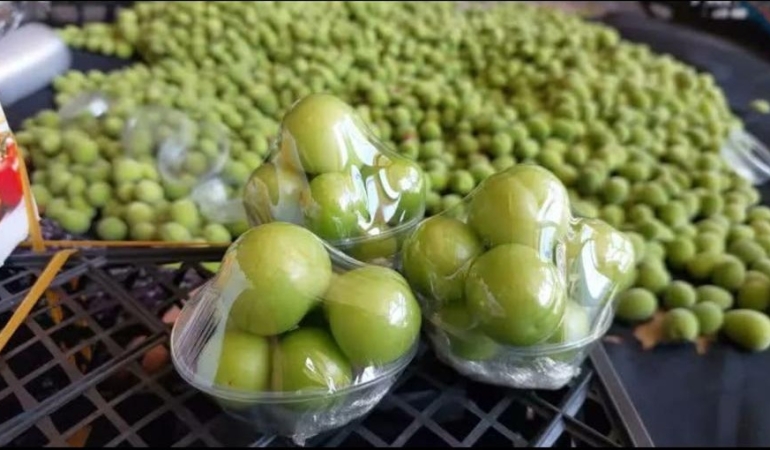 Örtü Altı Tarımda Büyük Başarı: Silifke Erikleri Kilosu 2.250 TL’den İhraç Edildi