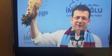 17422451151946029737