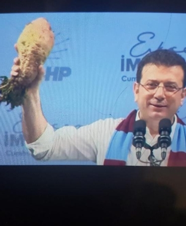 17422451151946029737