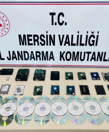 17422453651799353580