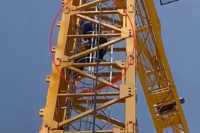 174240800382131461