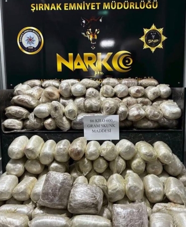 17424145741039250029