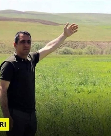 17425036691018749425