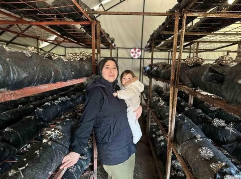 Bodrum Katından Başarıya: 4 Çocuk Annesi Yılda 35 Ton Mantar Üretiyor