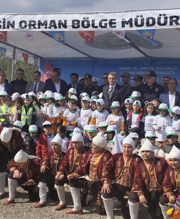 17425922882141078809