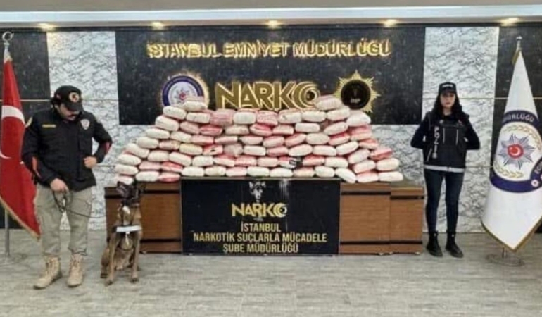 17426528941221173716