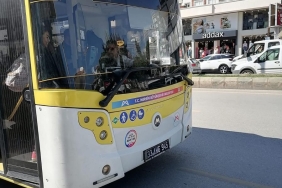 17426902281024588433