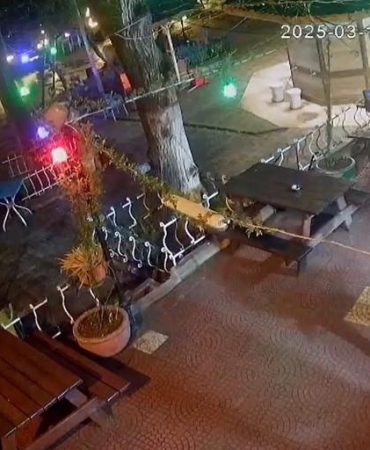 17427643121551591117