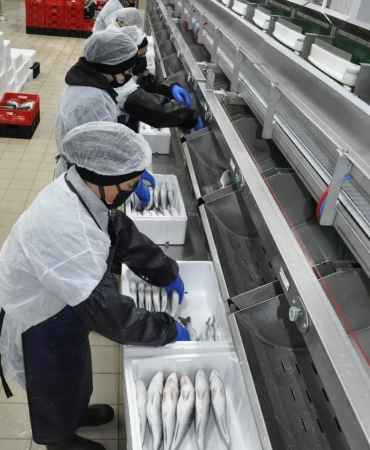 17427653711212076332