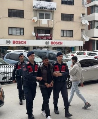 17428504891214425205