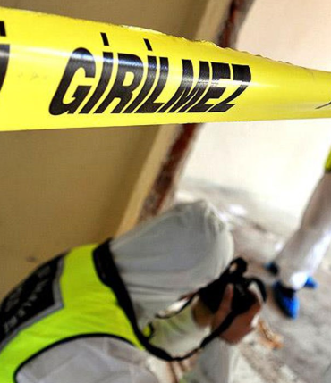 17428510011348227930