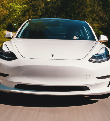 17430268892010477252