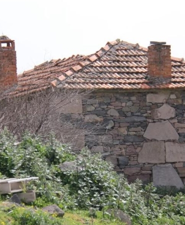 17433687241266639923