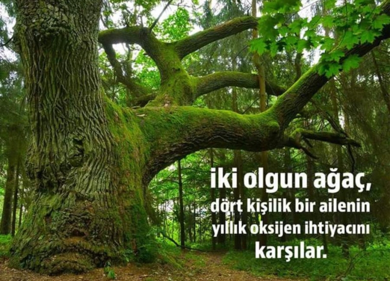 Sürdürülebilir Gelecek İçin Sıfır Atık Hareketi Büyüyor